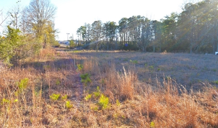 4.5 Acres Commercial Land for Sale with I-55 Frontage - image 9