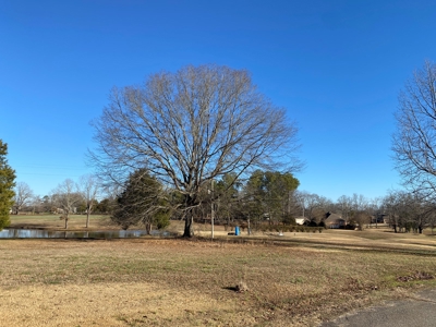 Lot For Sale On Shiloh Golf Course In Adamsville, Tn - image 4
