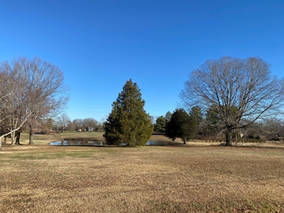 Lot For Sale On Shiloh Golf Course In Adamsville, Tn - image 2
