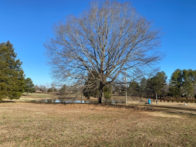 Lot For Sale On Shiloh Golf Course In Adamsville, Tn - image 6