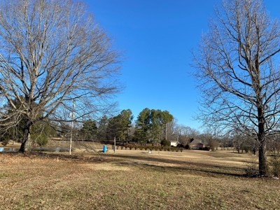 Lot For Sale On Shiloh Golf Course In Adamsville, Tn - image 1