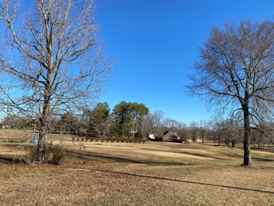 Lot For Sale On Shiloh Golf Course In Adamsville, Tn - image 3
