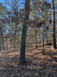 Hunting And Recreational Land For Sale Lake Eucha, Jay Ok - image 12