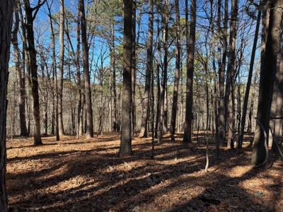 Hunting And Recreational Land For Sale Lake Eucha, Jay Ok - image 21
