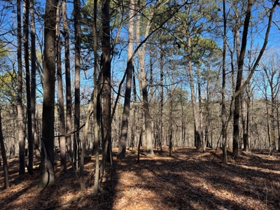 Hunting And Recreational Land For Sale Lake Eucha, Jay Ok - image 2