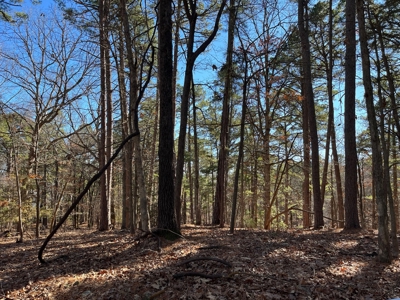 Hunting And Recreational Land For Sale Lake Eucha, Jay Ok - image 4