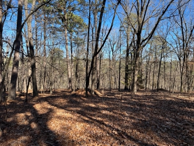 Hunting And Recreational Land For Sale Lake Eucha, Jay Ok - image 19