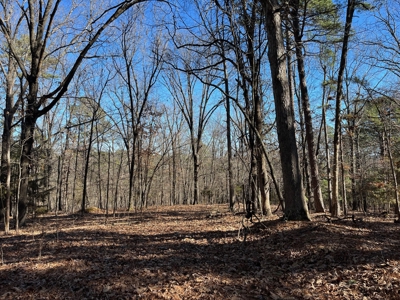 Hunting And Recreational Land For Sale Lake Eucha, Jay Ok - image 3