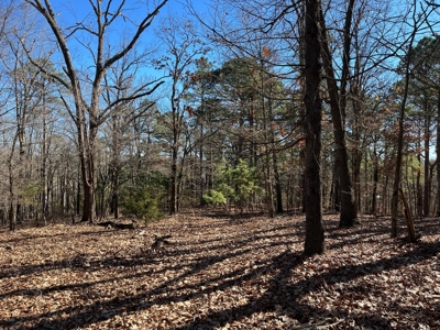 Hunting And Recreational Land For Sale Lake Eucha, Jay Ok - image 5