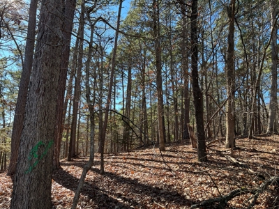 Hunting And Recreational Land For Sale Lake Eucha, Jay Ok - image 6