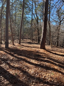 Hunting And Recreational Land For Sale Lake Eucha, Jay Ok - image 20