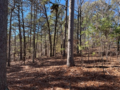 Hunting And Recreational Land For Sale Lake Eucha, Jay Ok - image 8