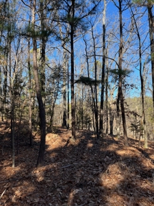 Hunting And Recreational Land For Sale Lake Eucha, Jay Ok - image 9