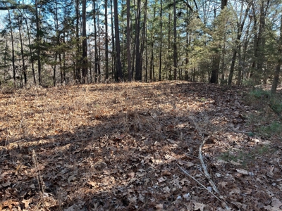 Hunting And Recreational Land For Sale Lake Eucha, Jay Ok - image 10