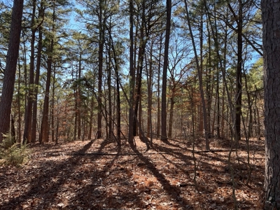 Hunting And Recreational Land For Sale Lake Eucha, Jay Ok - image 1