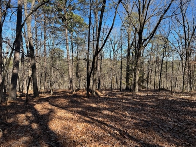 Hunting And Recreational Land For Sale Lake Eucha, Jay Ok - image 22