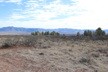 Hunting Property By The Chiricahua Mountain In Portal, Az - image 14