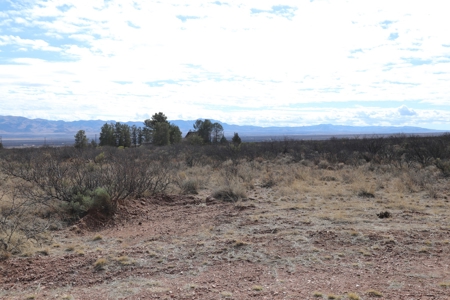 Hunting Property By The Chiricahua Mountain In Portal, Az - image 7
