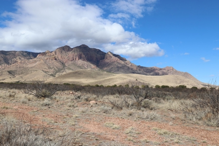 Hunting Property By The Chiricahua Mountain In Portal, Az - image 15