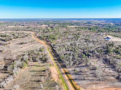 Land For Sale, Winona Tx, Smith County. - image 7