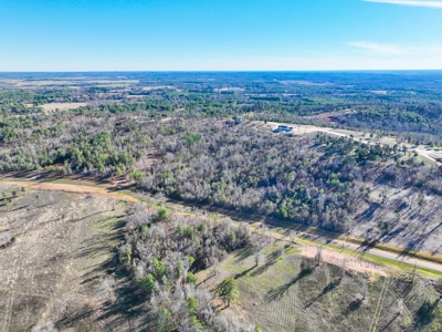 Land For Sale, Winona Tx, Smith County. - image 8