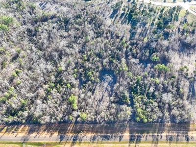 Land For Sale, Winona Tx, Smith County. - image 9