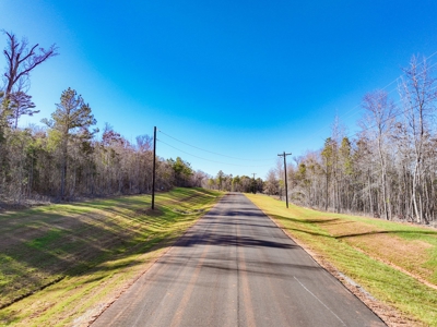 Land For Sale, Winona Tx, Smith County. - image 2