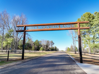 Land For Sale, Winona Tx, Smith County. - image 1