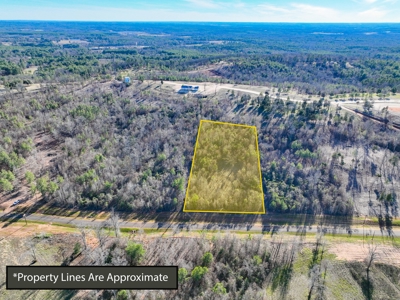 Land For Sale, Winona Tx, Smith County. - image 6