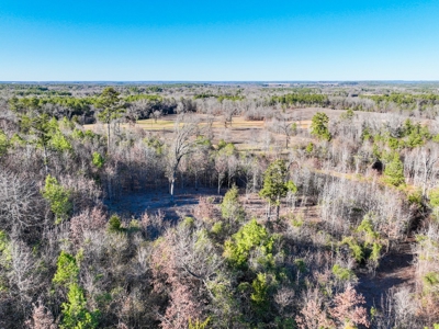 Land For Sale, Winona Tx, Smith County. - image 10