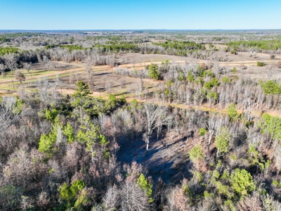 Land For Sale, Winona Tx, Smith County. - image 11