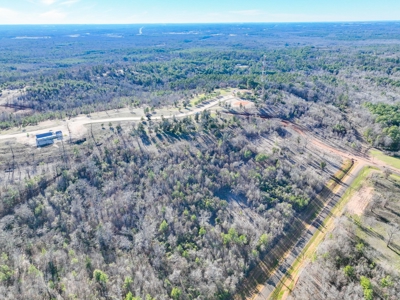 Land For Sale, Winona Tx, Smith County. - image 5
