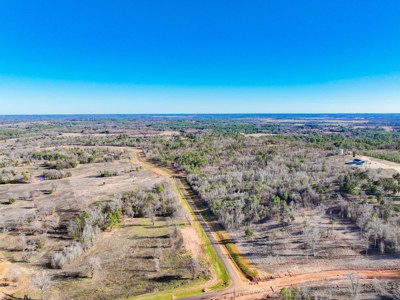 Land For Sale, Winona Tx, Smith County. - image 3