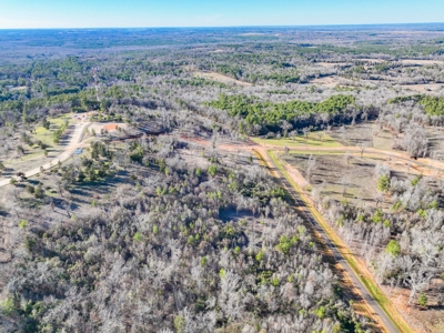Land For Sale, Winona Tx, Smith County. - image 4