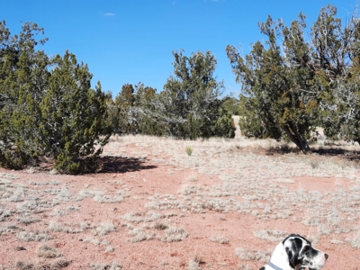 Great Northern AZ remote parcel off grid solitude - image 2