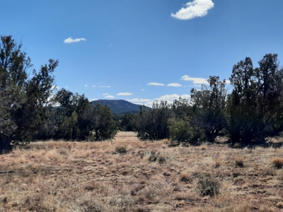 Great Northern AZ remote parcel off grid solitude - image 8