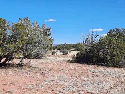 Great Northern AZ remote parcel off grid solitude - image 3