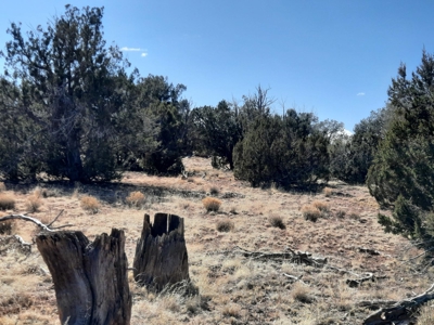 Great Northern AZ remote parcel off grid solitude - image 9