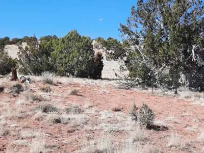 Great Northern AZ remote parcel off grid solitude - image 5
