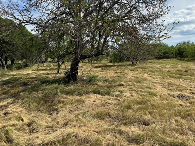 Home Lot 805 Kings Point Cove Golf Resort LakeBrownwood TX - image 3