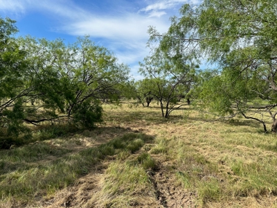 Home Lot 805 Kings Point Cove Golf Resort LakeBrownwood TX - image 1