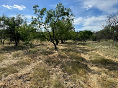 Home Lot 805 Kings Point Cove Golf Resort LakeBrownwood TX - image 11