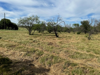 Home Lot 805 Kings Point Cove Golf Resort LakeBrownwood TX - image 9