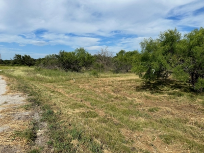 Home Lot 805 Kings Point Cove Golf Resort LakeBrownwood TX - image 6