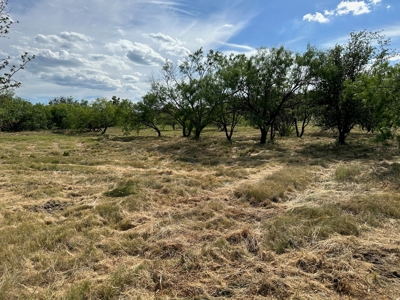 Home Lot 805 Kings Point Cove Golf Resort LakeBrownwood TX - image 12