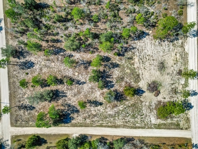 Country Living 2 Acres In Williston Highlands Levy County Fl - image 8