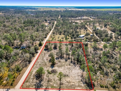 Country Living 2 Acres In Williston Highlands Levy County Fl - image 2