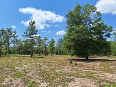Country Living 2 Acres In Williston Highlands Levy County Fl - image 13