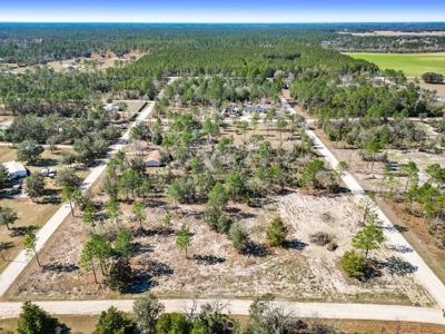 Country Living 2 Acres In Williston Highlands Levy County Fl - image 9