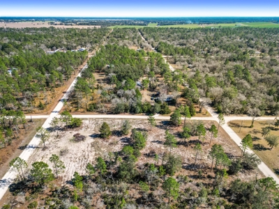 Country Living 2 Acres In Williston Highlands Levy County Fl - image 7